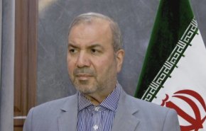 تشکر سفیر ایران در بغداد از مرجعیت، ملت و دولت عراق برای برگزاری مراسم اربعین
