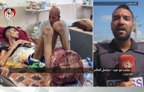 شهادت ۱۲ فلسطینی و زخمی شدن ده‌ها نفر دیگر از بامداد امروز در غزه