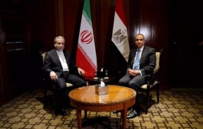 دیدار و گفتگوی سید عباس عراقچی و بدر عبدالعاطی وزرای خارجه ایران و مصر در قاهره + فیلم