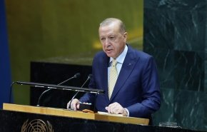 اردوغان: منطقی برای توحش اسرائیل وجود ندارد
