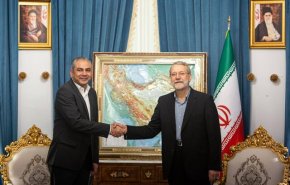 رایزنی وزیر کشور پاکستان با لاریجانی درباره گسترش همکاری‌های راهبردی