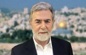 زیاد نخاله: آنچه در غزه می‌گذرد، فراتر از توانایی رژیم صهیونیستی برای کنترل آن است
