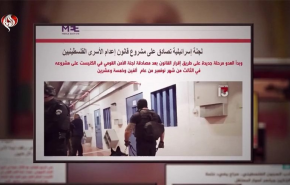 سازمان حقوق بشر 