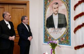 نماد یادبود شهید امیرعبداللهیان در مسکو رونمایی شد+فیلم