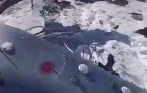 سقوط یک پهپاد آمریکایی در افغانستان+ فیلم