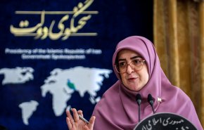سخنگوی دولت: اعتراضات مدنی مورد مصادره و حمله تروریستی دشمن قرار گرفت/ تشکیل کمیته حقیقت‌یاب در دولت