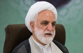 اژه‌ای: تروریست‌هایی که آدم سوزاندند به سرعت محاکمه شوند + فیلم