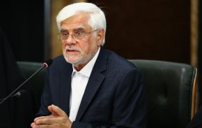 تشکر عارف از حمایت های رهبری از دولت
