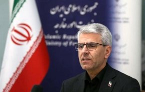 بقائی: حمله پلیس هلند به همسر باردار مرد فلسطینی نقض فاحش حقوق بشر است