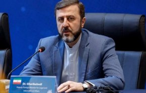 دیدار غریب‌آبادی با نخست‌وزیر قطر؛ کارگروه‌های توافق نهایی تشکیل شده است