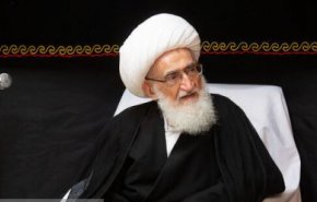 آیت‌الله نوری همدانی: همه دنیا از عظمت حضور مردم در مراسم وداع رهبر شهید متحیر شد