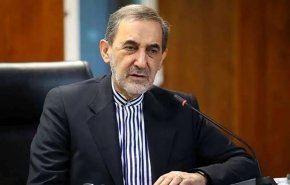 ولایتی: حتما به ماجراجویی‌ها پاسخ فوری داده می‌شود