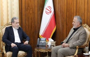 وزارت امور خارجه از مسائل کنسولی و دیپلماتیک زائران حمایت می‌کند