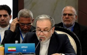 عراقچی: شانگهای باید به صدایی رسا در دفاع از احترام به حاکمیت ملی تبدیل شود