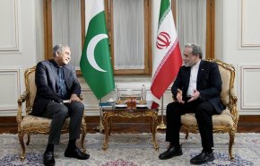 دیدار وزیر کشور پاکستان با وزیر امور خارجه ایران
