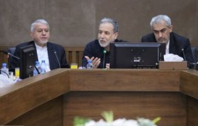 عراقچی: کشورهای همسایه از مهم‌ترین ظرفیت‌های اقتصادی ایران در شرایط تحریم هستند