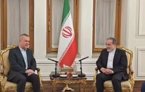 فضل‌الله در دیدار با عراقچی: دیپلماسی مقتدرانه ایران موجب مباهات دوستان ایران است
