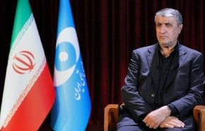 محمد إسلامي: منعي من حضور اجتماع الوكالة الدولية أسفر عن نتيجة مذهلة