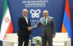 الرئيس الايراني يلتقي رئيسي وزراء أرمينيا وجورجيا على هامش مؤتمر التنوع البيولوجي