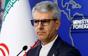 بقائي مخاطباً ماكرون: لا يمكن الدفاع عن ازدواجية المعايير