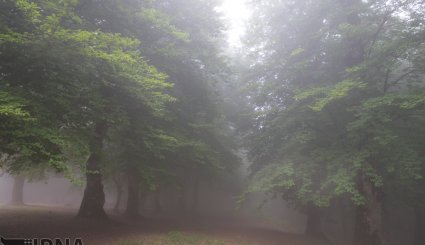 منطقه حفاظت شده مازیچال