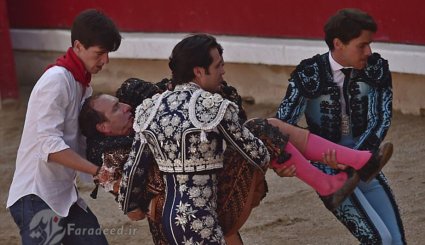 مجروح شدن گاوباز در میدان نبرد