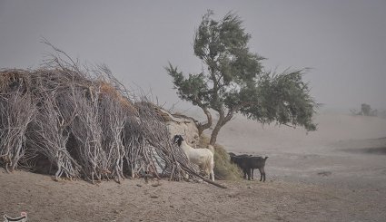 روستاهای هیرمند در بحران