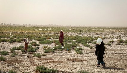 روستاهای هیرمند در بحران