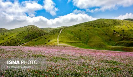 ایران زیباست؛‌ خراسان رضوی