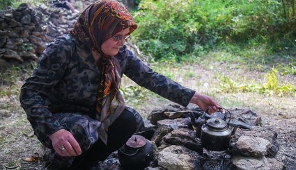 گردشگری یک روزه با قطار در مسیر شمال
