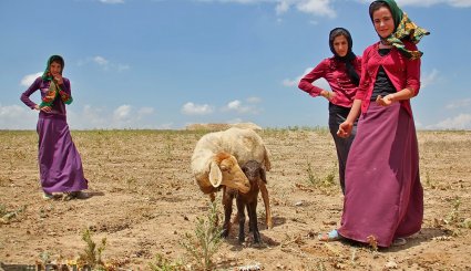 خراسان شمالی - زندگی عشایر کرمانج