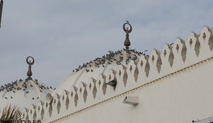 زیارت «دوره» در مدینه منوره-تصاویر