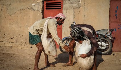 نشاء برنج در شهرستان کارون-تصاویر