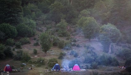 طبیعت تابستانی جنگل اولنگ و چشمه گل رامیان