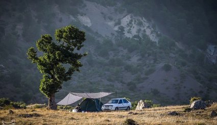 طبیعت تابستانی جنگل اولنگ و چشمه گل رامیان
