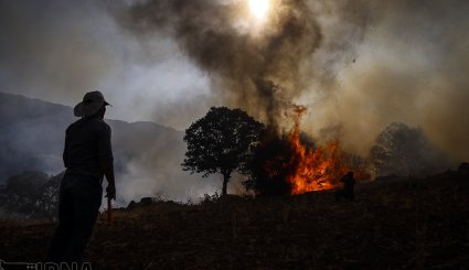 آتش سوزی در جنگلهای بلوط روستای کرآباد شهرستان سروآباد
