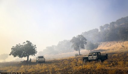 آتش سوزی در جنگلهای بلوط روستای کرآباد شهرستان سروآباد