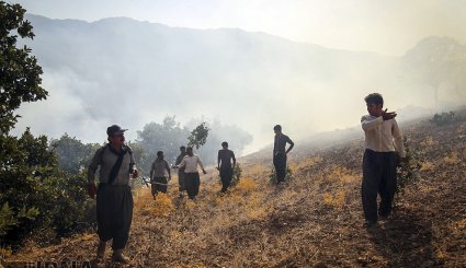 آتش سوزی در جنگلهای بلوط روستای کرآباد شهرستان سروآباد