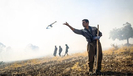 آتش سوزی در جنگلهای بلوط روستای کرآباد شهرستان سروآباد