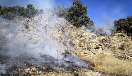 آتش سوزی در جنگلهای بلوط روستای کرآباد شهرستان سروآباد