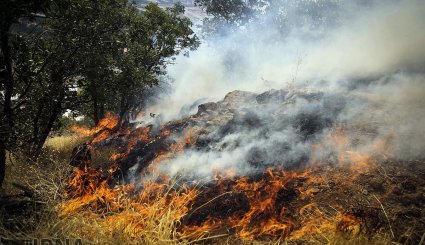 آتش سوزی در جنگلهای بلوط روستای کرآباد شهرستان سروآباد