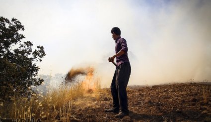 آتش سوزی در جنگلهای بلوط روستای کرآباد شهرستان سروآباد