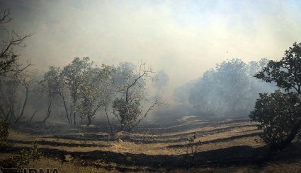 آتش سوزی در جنگلهای بلوط روستای کرآباد شهرستان سروآباد