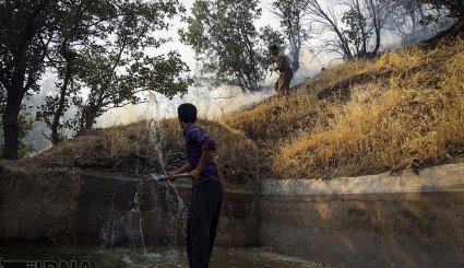 آتش سوزی در جنگلهای بلوط روستای کرآباد شهرستان سروآباد