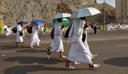 حرکت حجاج به سمت صحرای عرفات. تصاویر