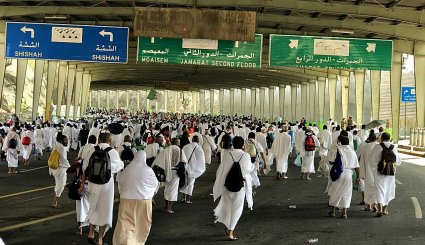 حرکت حجاج به سمت صحرای عرفات. تصاویر