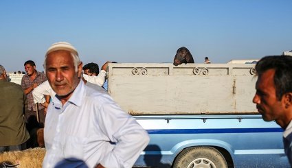 بندر ترکمن در آستانه عید قربان. تصاویر