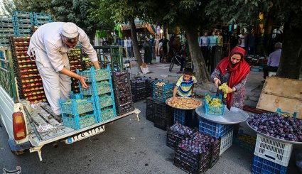 بندر ترکمن در آستانه عید قربان. تصاویر