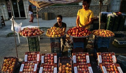 بندر ترکمن در آستانه عید قربان. تصاویر