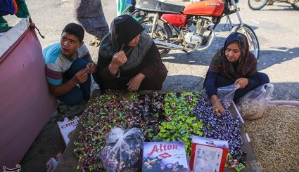 بندر ترکمن در آستانه عید قربان. تصاویر